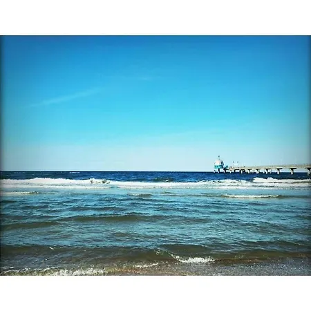 Windblume Modern Retreat Hébergement de vacances Zinnowitz