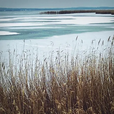 Windblume Modern Retreat * Zinnowitz