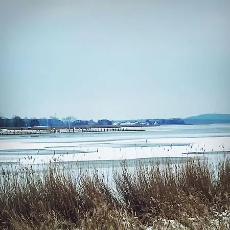 Hébergement de vacances Windblume Modern Retreat